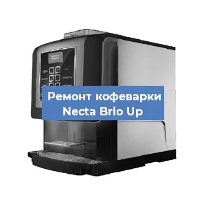 Замена жерновов на кофемашине Necta Brio Up в Красноярске